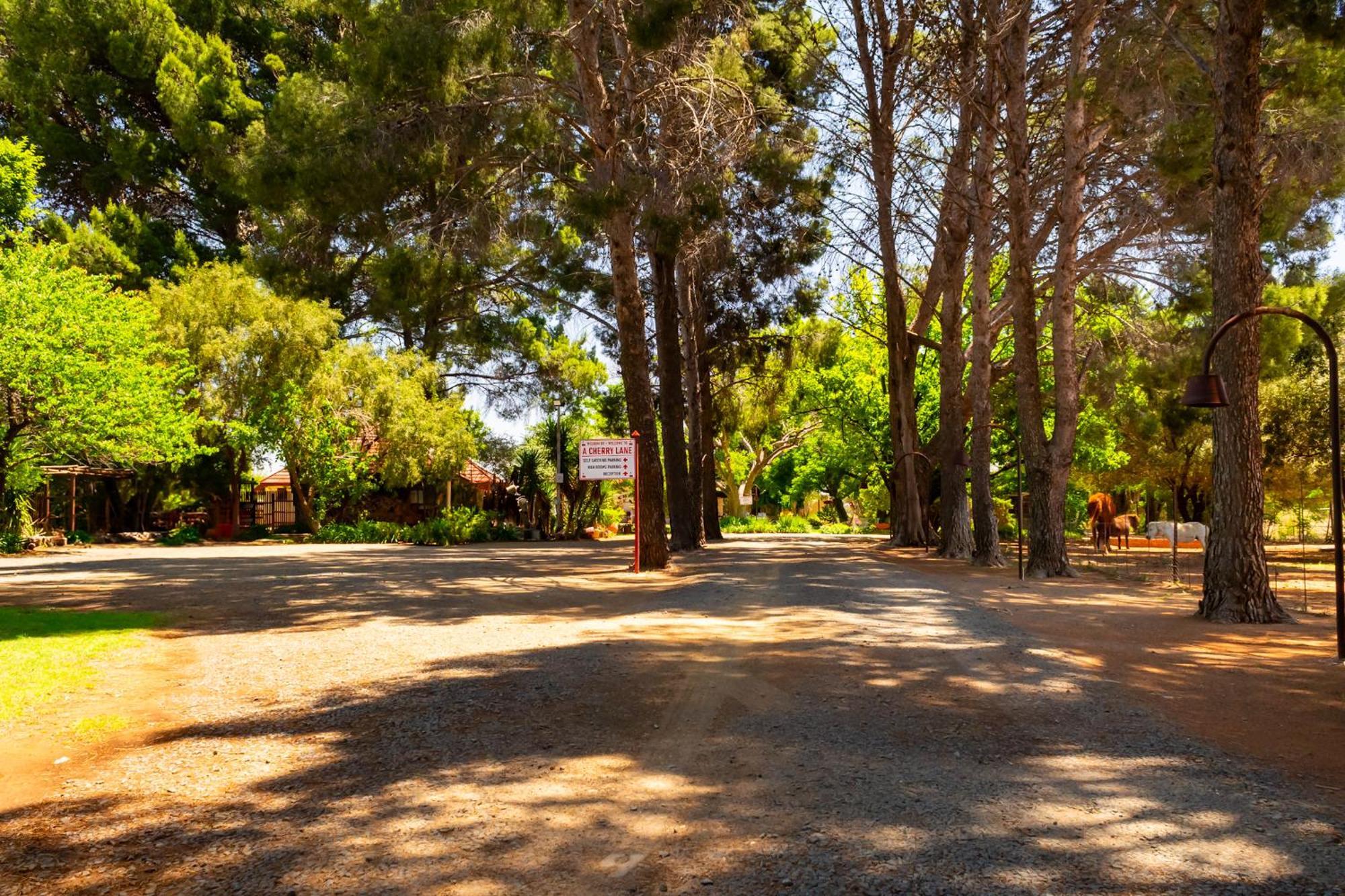 A Cherry Lane Self Catering And B&B Bloemfontein Exterior photo